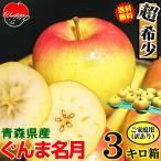 青森 りんご ぐんま名月 3kg箱【クール便対応 / 常温便送料無料】家庭用/訳あり 青森 リンゴ 訳あり 3キロ箱★名月 家訳 3kg箱