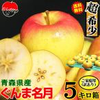 あすつく 青森 りんご 5kg箱 ぐんま名月 クール便　 送料無料 家庭用/訳あり 青森 リンゴ 訳あり 5キロ箱★名月 家訳 5kg箱