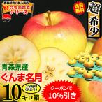 あすつく 青森 りんご 10kg箱 ぐんま名月 送料無料 家庭用/訳あり 青森 リンゴ 訳あり 10キロ箱★名月 家訳 10kg箱