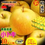 りんご 10kg箱 青森 小トキ ご家庭用 入り数選べる!訳あり リンゴ あすつく 送料無料 青森 リンゴ 10キロ箱