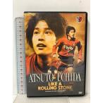  олень остров Anne тигр -z официальный DVD ATSUTO UCHIDA LIKE A ROLLING STONE..( АО ) внутри рисовое поле . человек 