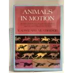  иностранная книга Animals in Motion (Dover Anatomy for Artists) Dover Publications Eadweard Muybridge