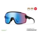 スミス Wildcat Asia Fit