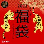 オルルド釣具 釣り具 ルアー 福袋2022 ライトショアジギング ルアーセット ライトショア 投げ釣り 大容量