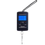 デジタルスケール 重さ 測り「ハカルドCP1」液晶 バックライト 電子測り 釣り フィッシングスケール オルルド釣具 送料無料