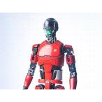 Pinyike Realistic Robot Series All Purpose Humanoid (Test Type) (製造元：PewPewGun)