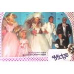 Barbie(バービー) Wedding Party MIDGE Gift Set (ギフトセット) w 6 Dolls: Barbie(バービー), Ken, Mid