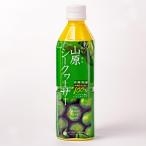琉球フロント沖縄 山原シークヮーサー 500ml ペットボトル やんばる 山原 世界遺産 原液 シークワーサー (1本)
