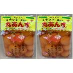 ミナツネ 種ぬき丸あんず 500g×2個