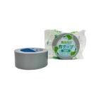  храм холм завод воспроизведение PET ткань лента No.1605 серебряный 50 мм X25M в общем упаковка легкий упаковка -слойный упаковка ржавчина упаковка временный прекращение ремонт единство ko