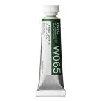  ho ru Bay n прозрачный акварель краситель 5ml W065 tail ремень 