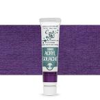  turner цвет акрил гуашь цвет жемчуг violet AG020421 20ml(6 номер )