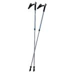 LEKI(reki) Nordic Walking Instructor (Lt Blue) Trekking Pole