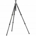 Gitzo GT3531 Mountaineer Series 3 6X 3 Section Carbon Fiber Tripod with G-Lock, Maximum Height 50