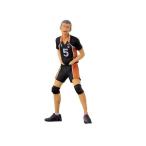  Haikyu!!!! DXF фигурка vol.6 рисовое поле средний дракон ..