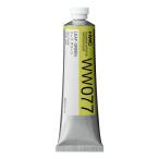  ho ru Bay n прозрачный акварель краситель зеленый серия 60ml WW077 leaf зеленый 013077