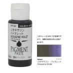  ho ru Bay n пигмент паста 35ml PP091 geo kissa Gin violet 068091