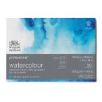W&amp;N wing The -&amp; новый тонн Professional акварель бумага блок 25.4×35.6 средний глаз 300g/m2 19102003