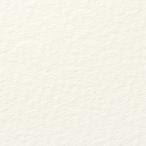 sama комплект версия бумага для рисования tech s коричневый - soft белый 560×760mm 5162502302CBM 10 листов 