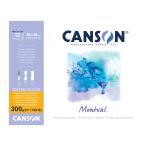  can somon bar акварель бумага накладка B3 5 шт. входить 807-321