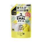 (まとめ)花王 エマールリフレッシュグリーン 詰替 810g(×2セット)
