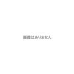iPod/USB接続用中継ケーブル CA-LUB200D