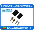 A/C バルブコア キャップ キット・カマロ コルベット ナビゲーター SRX マスタング チャージャー ラングラー 虫 ムシ JK AC エアコン★JFX