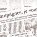  оберточная бумага половина лет (10 листов входит )HEIKOsimojima письмо цветок WH подпалина чай ( белый земля x подпалина чай печать ) упаковка 