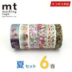 マスキングテープ 6巻セット  mt カモ井夏セット  ネコポス送料無料