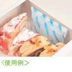 保冷剤　ファインパック　S100g　 10個入り