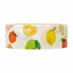 マスキングテープ シール堂 シンジカトウ Shinzi Katoh 日々是和紙てーぷ 柑橘 ks-wt-40019 15mm×5m