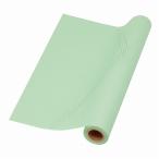  цветок LAP HEIKOsimoji муфта правило сеть зеленый 50cmx9.1m шт 