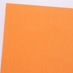 HEIKO PC цвет незначительный лист бумага половина лет A03 Carrot 50 листов 
