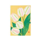  весна письмо открытка 018 тюльпан рисунок S3 80018006 midori зеленый [ бумага ] серии письмо письмо 