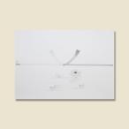 のし紙 仏 字なし A4 100枚