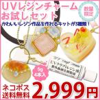 ★爆買★ネコポス送料無料 KIYOHARA 清原 UVレジンチャームお試しセット （キット3種類、UVレジン液5g×4本）