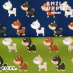 March!(. собака ) местного производства oks/ Broad /si- подбородок g/ двойной марля / заем /11 номер брезент RIEKA