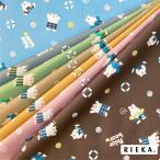 Polar bear Summer 国産オックス/ブロード/シーチング/ダブルガーゼ/ローン/11号帆布 RIEKA