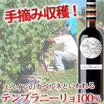 Yahoo! Yahoo!ショッピング(ヤフー ショッピング)[2011]カンポス・デ・ヴィエント テンプラニーリョ スペイン（750ml 赤ワイン） 【ギフト ワイン】 家飲み