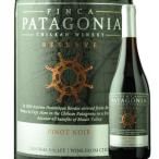  вино красный вино Pinot *nowa-ru*rezeruvu ласты ka* Patagonia 2022 год Chile maurevare- medium 750ml
