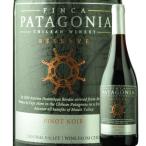 ワイン 赤ワイン ピノ・ノワール・レゼルヴ フィンカ・パタゴニア 2021年 チリ マウレヴァレー ミディアム 750ml 訳ありSALE