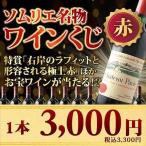 ワイン 赤ワイン ワインくじ ソムリエ名物ワインくじ (赤) 【数量・期間限定】