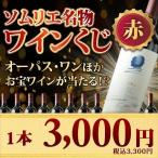 ワイン 赤ワイン ワインくじ ソムリエ名物ワインくじ (赤) オーパス・ワン、バルバレスコなど！【数量・期間限定】