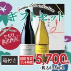 ソムリエ厳選特選ギフト ギフトボックスつきブルゴーニュ赤・白ワイン2本セット（750ml ワインセット）｜ギフト 家飲み 飲み比べ 爆買