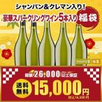 ワイン ワインセット シャンパン 1級入り全て上級シャンパン！珠玉のシャンパン4本 送料無料 シャンパンセット SALE福袋