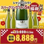 ワイン ワインセット スパークリングワイン シャンパン入り！スパークリングワイン5本福袋 送料無料 スパークリングワインセット SALE福袋