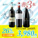 ワイン ワインセット 赤ワイン 冷や
