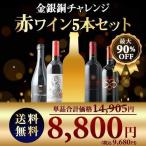 ワイン ワインセット 赤ワイン 金銀銅チャレンジ・プレミアム赤5本セット 送料無料 SALE