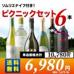 ワイン ワインセット ミックス ソムリエナイフ付きピクニックセット6本入り 第23弾 送料無料 「0/0更新」