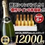 ワイン ワインセット ミックス 「年に一度の総決算袋」シャンパン入り！傑作ワイン6本福袋 送料無料 泡1本＆赤3本＆白2本 SALE